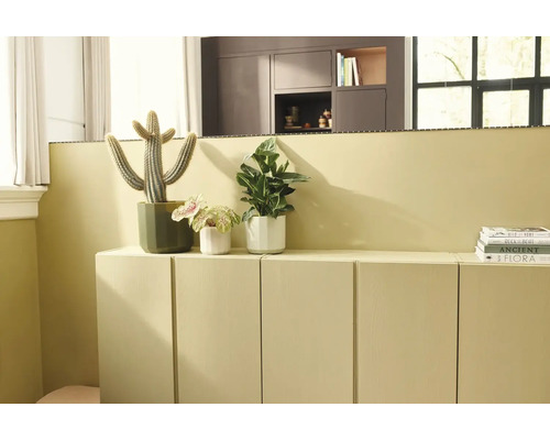 Modern vardagsrumsmiljö med en låg sideboard och matchande väggfärg, dekorerad med krukväxter inklusive en kaktus.