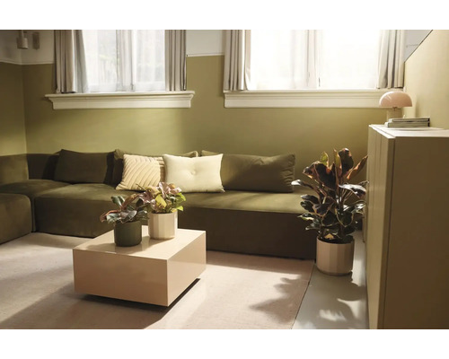 Modernt vardagsrum med en grön soffa, beige soffbord, olika krukväxter och tvåfärgade väggar i olivgrönt och vitt.