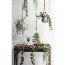Dekorativa konstgjorda hängväxter, terrarier och blomrankor på ett konsolbord i trä.