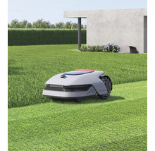 Robotgräsklippare klipper en gräsmatta i en trädgård med ett modernt hus och en häck.