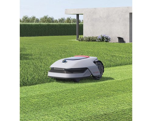 Robotgräsklippare klipper en gräsmatta i en trädgård med ett modernt hus och en häck.