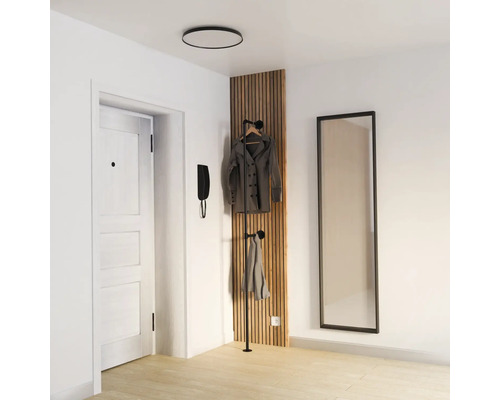 Ljus, modern hall med en vertikal akustikpanel av trälaminat, en svart klädhängare, en stor väggspegel och en vit dörr.