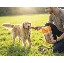 En man matar en Golden Retriever på en gräsmatta med ett hundgodis från en förpackning från Mr. Beef Snack.