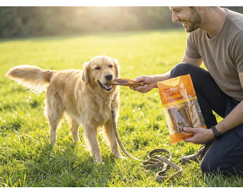 En man matar en Golden Retriever på en gräsmatta med ett hundgodis från en förpackning från Mr. Beef Snack.