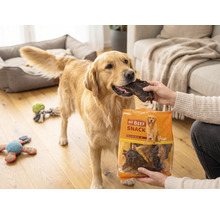 En Golden Retriever matas med ett torkat köttgodis från en påse Mr. Beef Snack i ett vardagsrum.