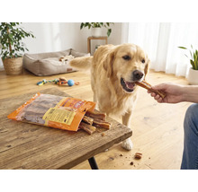 En Golden Retriever i ett ljust vardagsrum får ett Mr. Beef-godis ur handen. Förpackningen ligger på ett träbord.
