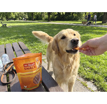 "En Golden Retriever matas med Mr. Beef Snack kycklingbröstfilé i en park