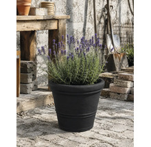 Lavendel i en svart blomkruka på en stenterrass bredvid ett rustikt träbord och trädgårdsredskap.