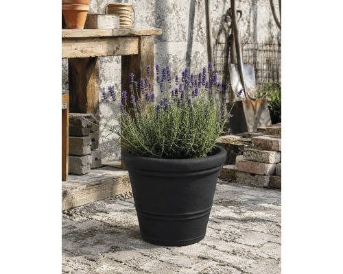 Lavendel i en svart blomkruka på en stenterrass bredvid ett rustikt träbord och trädgårdsredskap.