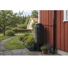 Regntunna med stuprörsanslutning vid en trävägg i trädgården, inklusive vattenkanna och krukväxter.