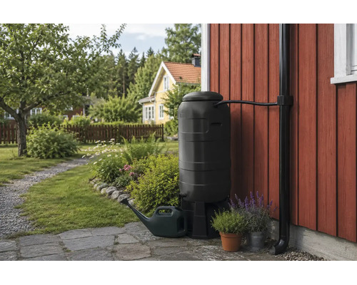 Regntunna med stuprörsanslutning vid en trävägg i trädgården, inklusive vattenkanna och krukväxter.