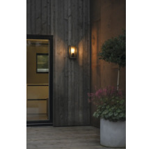 Modern utomhusvägglampa med glas på en träfasad på en terrass med växter.
