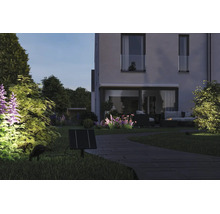 Solcellsdriven trädgårdsbelysning med solpanel och spotlight som lyser upp växter längs en stenstig i en modern trädgård med hus vid skymning.
