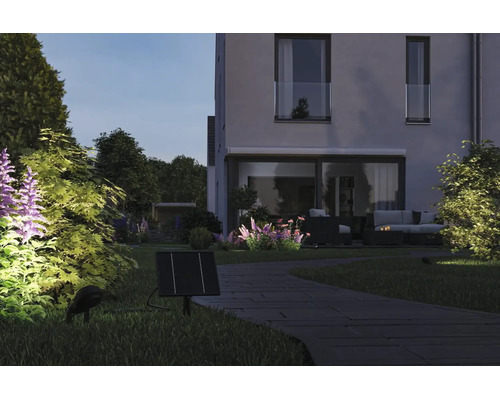 Solcellsdriven trädgårdsbelysning med solpanel och spotlight som lyser upp växter längs en stenstig i en modern trädgård med hus vid skymning.