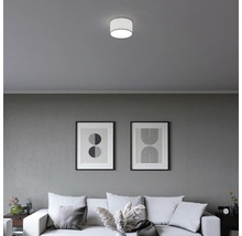 Modern cylindrisk taklampa i ett minimalistiskt vardagsrum med soffa och abstrakta tavlor på en grå vägg.