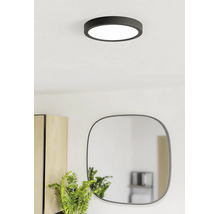 Modern rund LED-taklampa i svart i ett ljust rum ovanför en spegel och en växt.