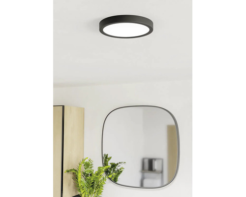 Modern rund LED-taklampa i svart i ett ljust rum ovanför en spegel och en växt.