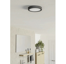 Rund LED-taklampa i ett ljust, modernt badrum med spegel, träskåp och krukväxt.