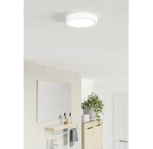 Rund LED-taklampa i ett ljust, modernt badrum ovanför en spegel med hylla och en krukväxt.