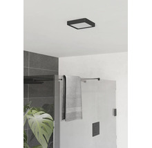 Modernt badrum med kvadratisk svart LED-taklampa, duschvägg i glas, grått kakel och en grön växt.