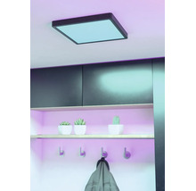 Kvadratisk LED-takpanel med svart ram i en modern hall med hylla, små växter och väggkrokar.