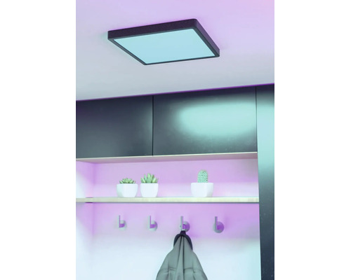 Kvadratisk LED-takpanel med svart ram i en modern hall med hylla, små växter och väggkrokar.