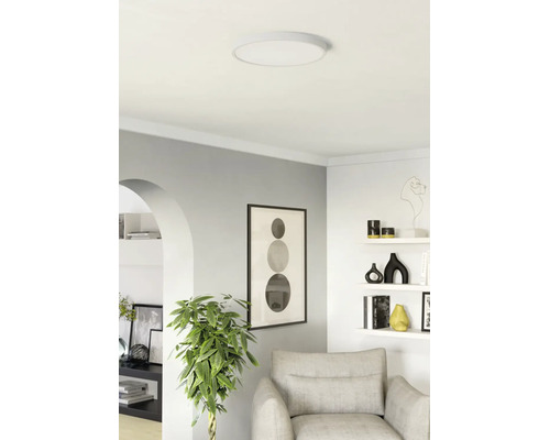 Modernt, ljust vardagsrum med en rund LED-taklampa, en grå fåtölj, en grön växt och dekorativa vägghyllor.