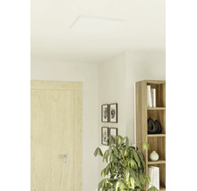 Platt, kvadratisk LED-panel som taklampa i ett ljust, modernt vardagsrum med trädörr och krukväxt.
