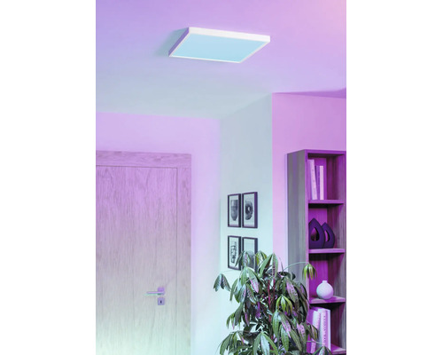 Modern kvadratisk LED-panel i taket i ett vardagsrum med violett belysning, trädörr, bokhylla och krukväxt.