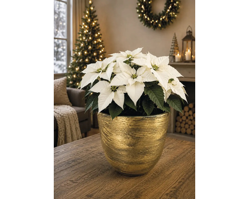 Kruka Rustic keramik Ø20x18cm grön/guld