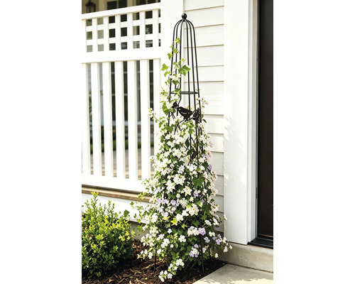 Svart trädgårdsobelisk i metall med fågeldekor, bevuxen med vita och ljuslila klätterblommor framför en vit husvägg.
