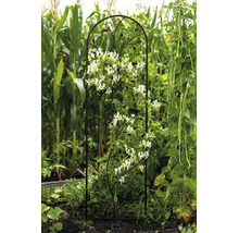 Klätterstöd i metall med dekorativa fåglar och blad, bevuxen med en vitblommande klätterväxt i en trädgård.