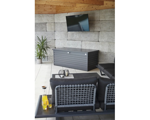 Dynbox BIOHORT 180 800L 181x79x71cm mörkgrå metallic
