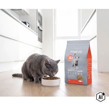 Grå katt äter torrfoder ur en skål bredvid en förpackning Finevo kattmat i ett ljust kök. (Image AI modified or generated)