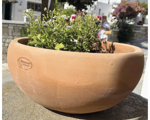 Rund växtskål av terrakotta med handgjord Terraneo-logotyp, planterad med blommor, lämplig för trädgård och terrass.