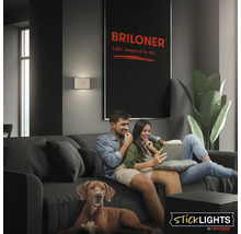 Par sitter med hund i en soffa i ett vardagsrum med modern vägglampa och Briloner logotyp på väggen.