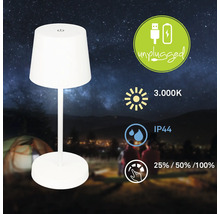 Bärbar LED bordslampa med batteri, 3000 Kelvin varmvitt ljus, IP44 stänkskydd och dimbar i tre nivåer för utomhusbruk.