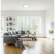 Ljust vardagsrum med grå soffa, soffbord och rund taklampa