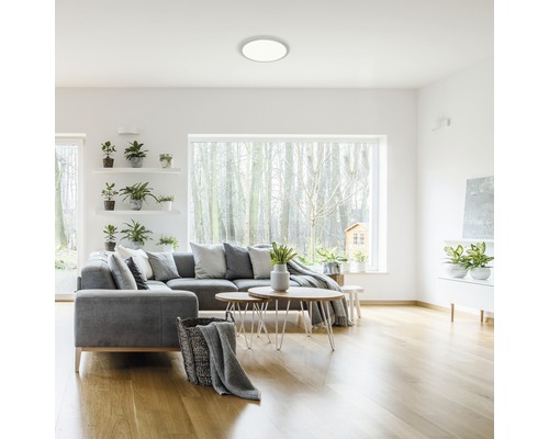 Ljust vardagsrum med grå soffa, soffbord och rund taklampa