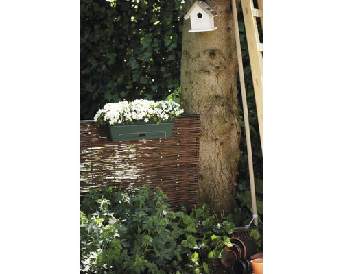 Trädgårdsscen med flätat staket, planterad blomlåda, trädstam och fågelholk