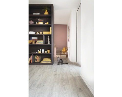 Ljust rum med bokhylla, stol och katt på laminatgolv