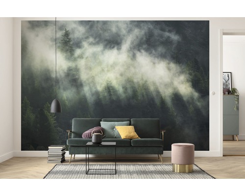 Vardagsrum med fototapet bergskog i dimma, soffa, soffbord och dekoration