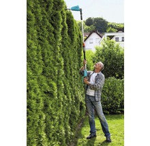 Man klipper hög häck med batteridriven häcksax med teleskopskaft
