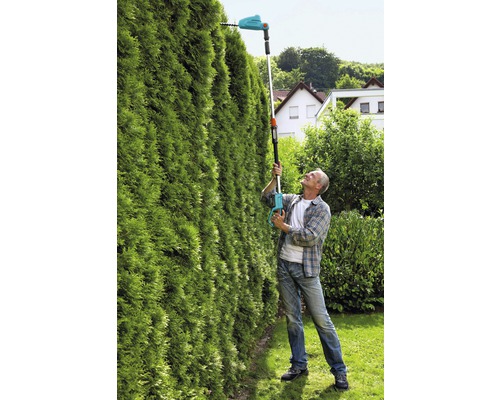 Man klipper hög häck med batteridriven häcksax med teleskopskaft