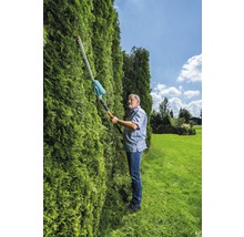 Man klipper häck med en häcksax