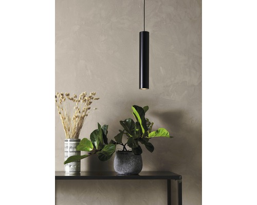 Dekorativ scen med en svart hänglampa ovanför ett bord med växter