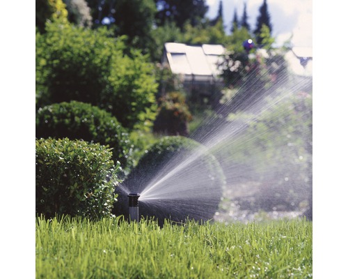 Pop-up sprinkler vattnar en grön gräsmatta i en trädgård.