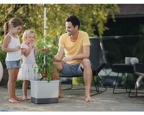 Familj tittar på tomatplanta i planteringslåda på terrassen