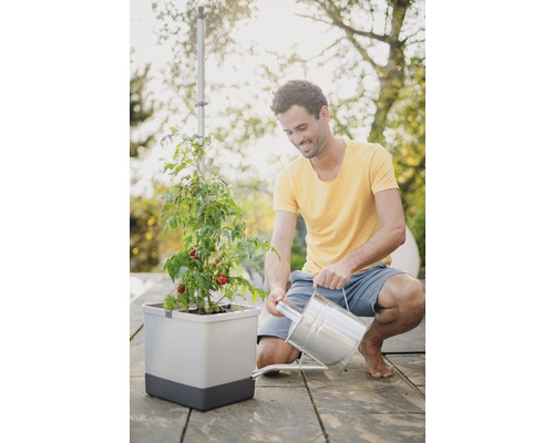 Man vattnar tomatplanta i en planteringslåda med bevattningssystem i trädgården.