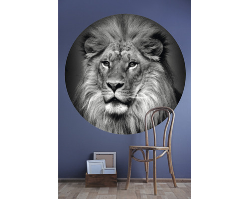 Väggdekoration med lejonmotiv, trästol och fotoramar på golvet